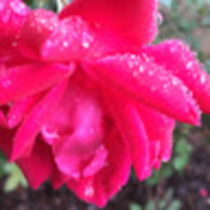 Meet your Posher, Quinn